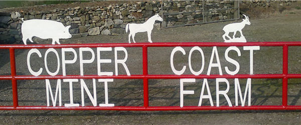 copper-coast-pet-farm-waterford.jpg